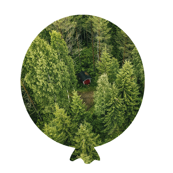Forest landscape within a balloon silhouette